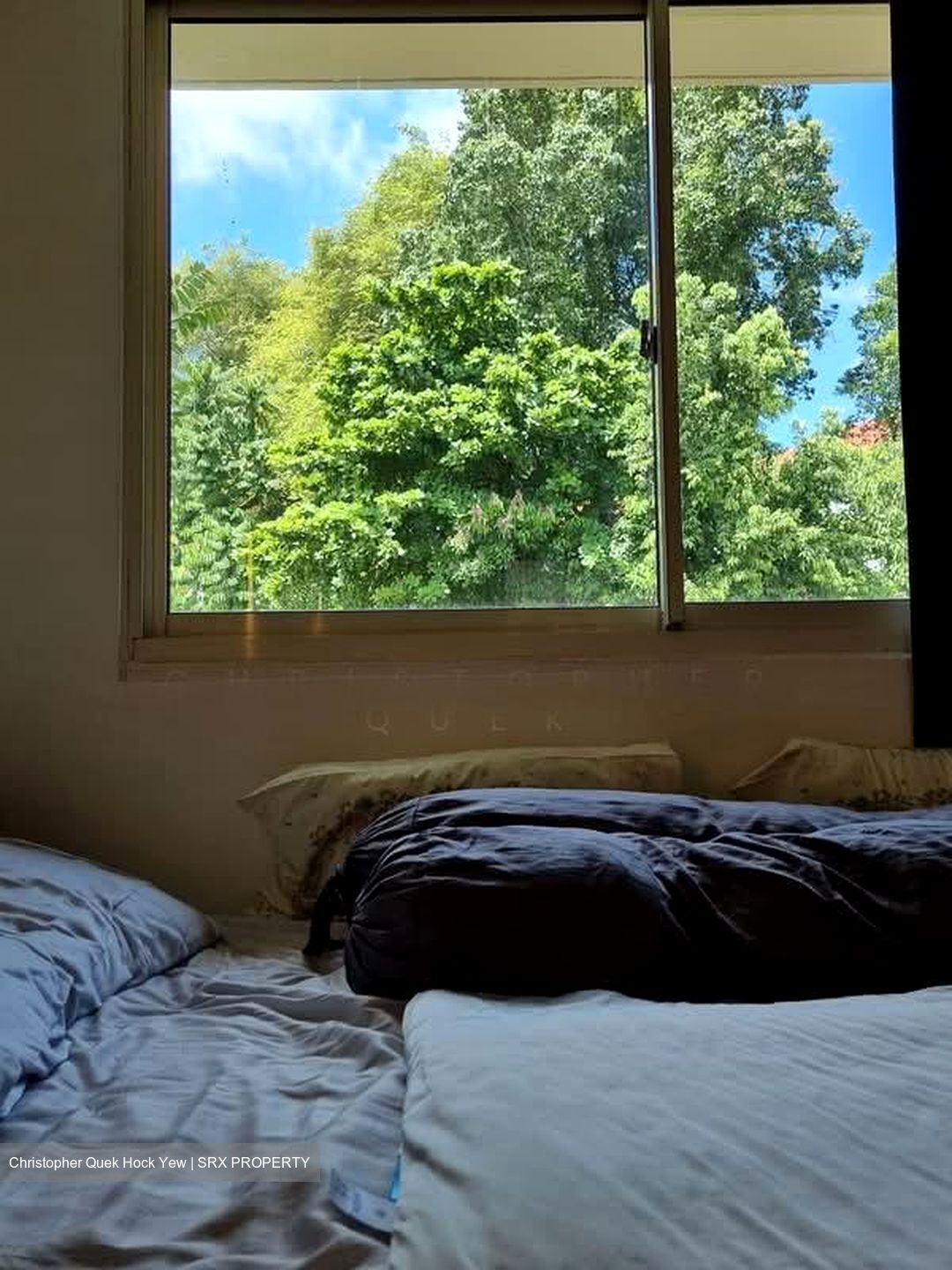 Sommerville Park (D10), Condominium #553005911